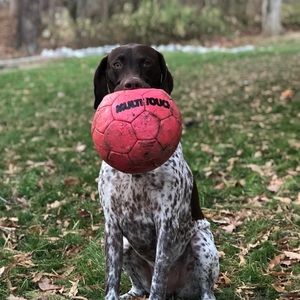 Meet your Posher, Claudia